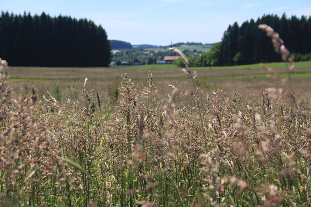 Zehentmayrhof Obing Habitación foto