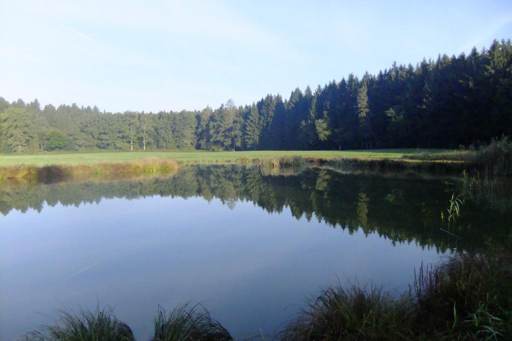Zehentmayrhof Obing Habitación foto